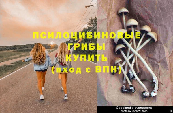 не бодяженный Аркадак