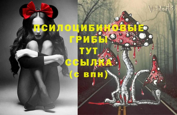 не бодяженный Аркадак