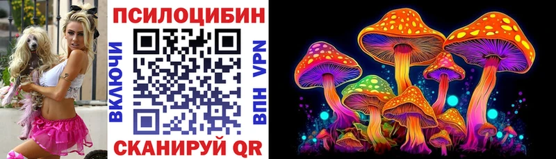 Галлюциногенные грибы Psilocybe  hydra ТОР  Луза 